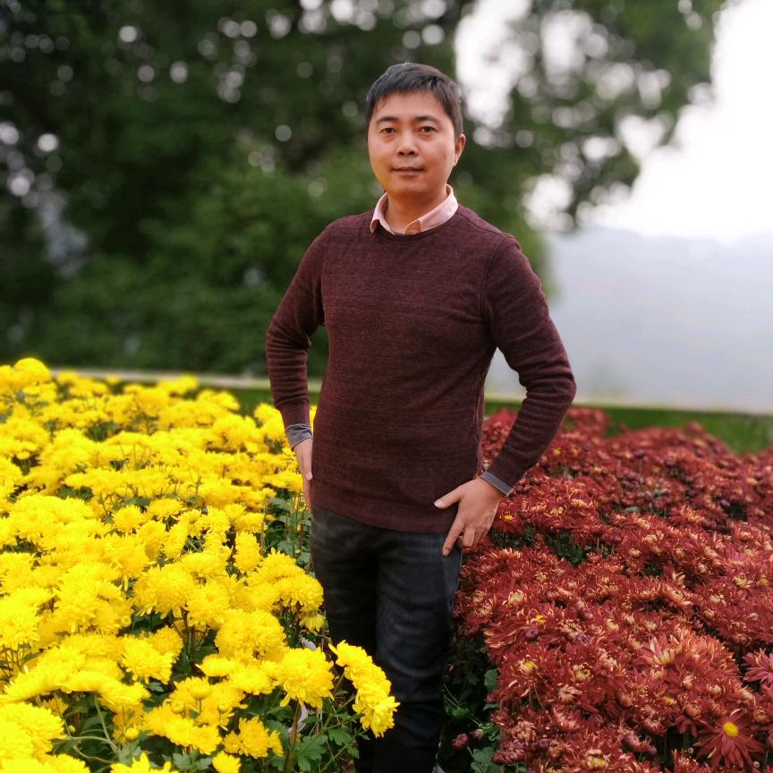 朱哥的花园