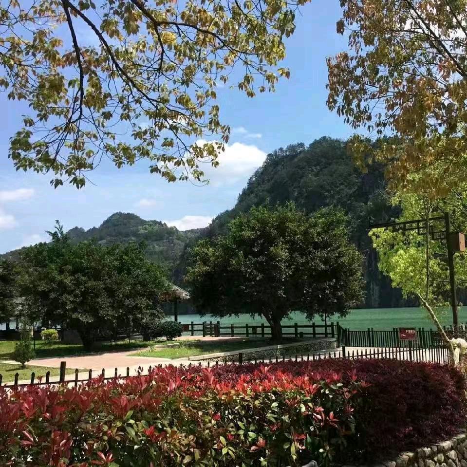王艳