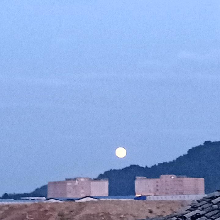 想不出那样名字