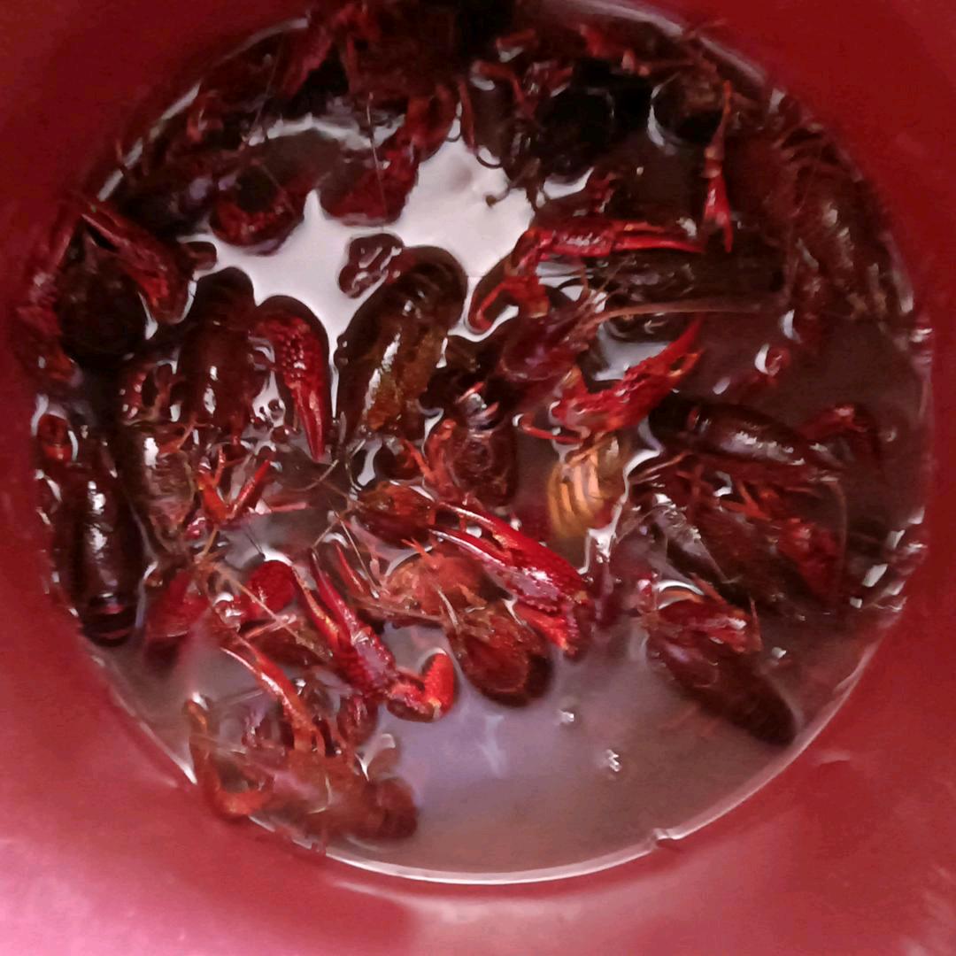 韩春权