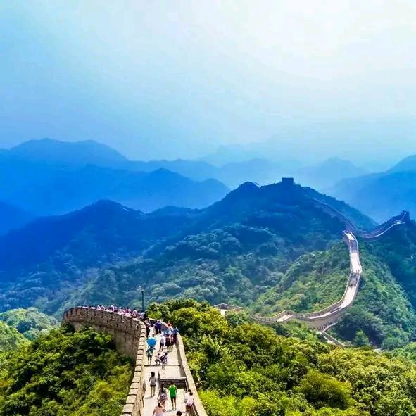 🍃放下🌻执念🥀