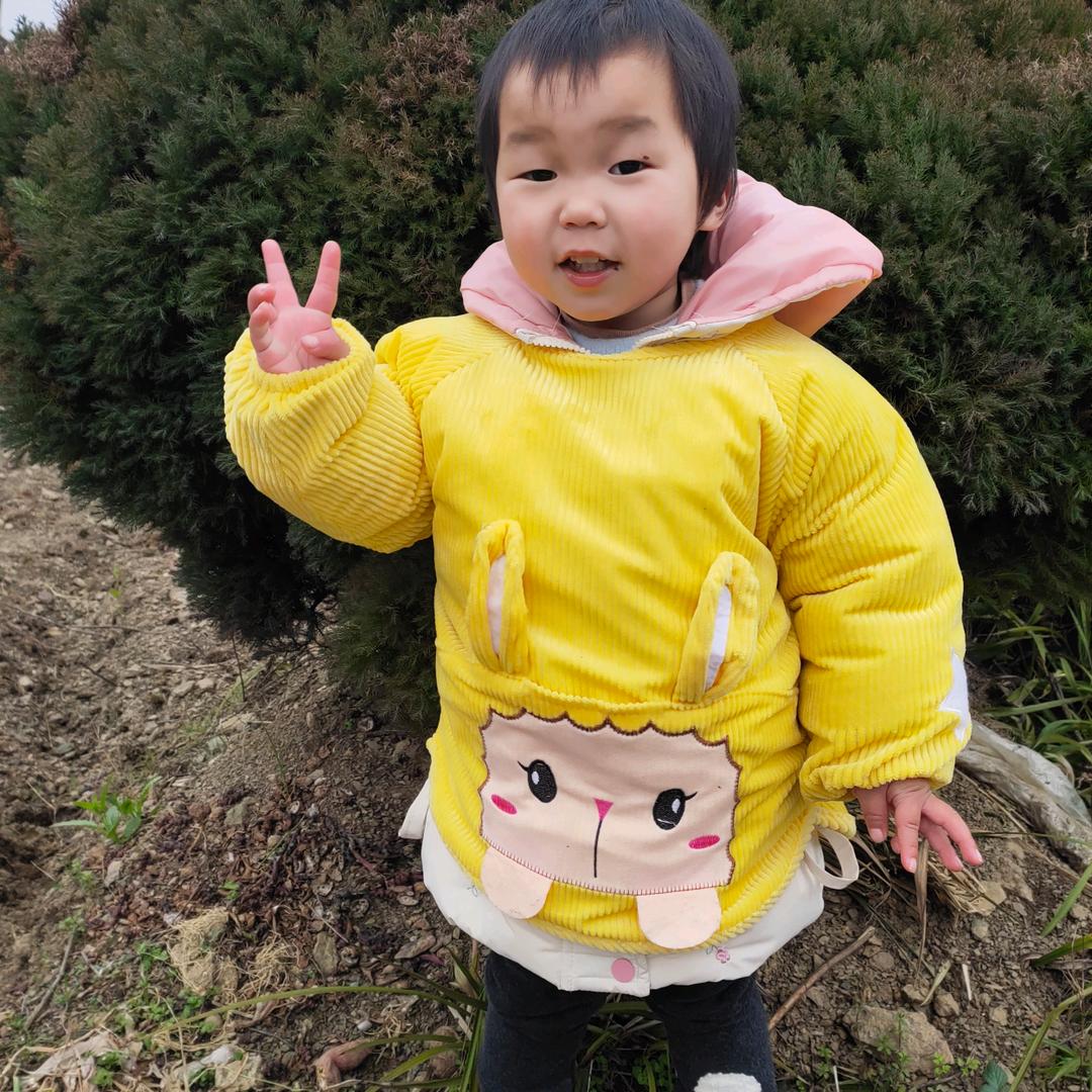 杨依依