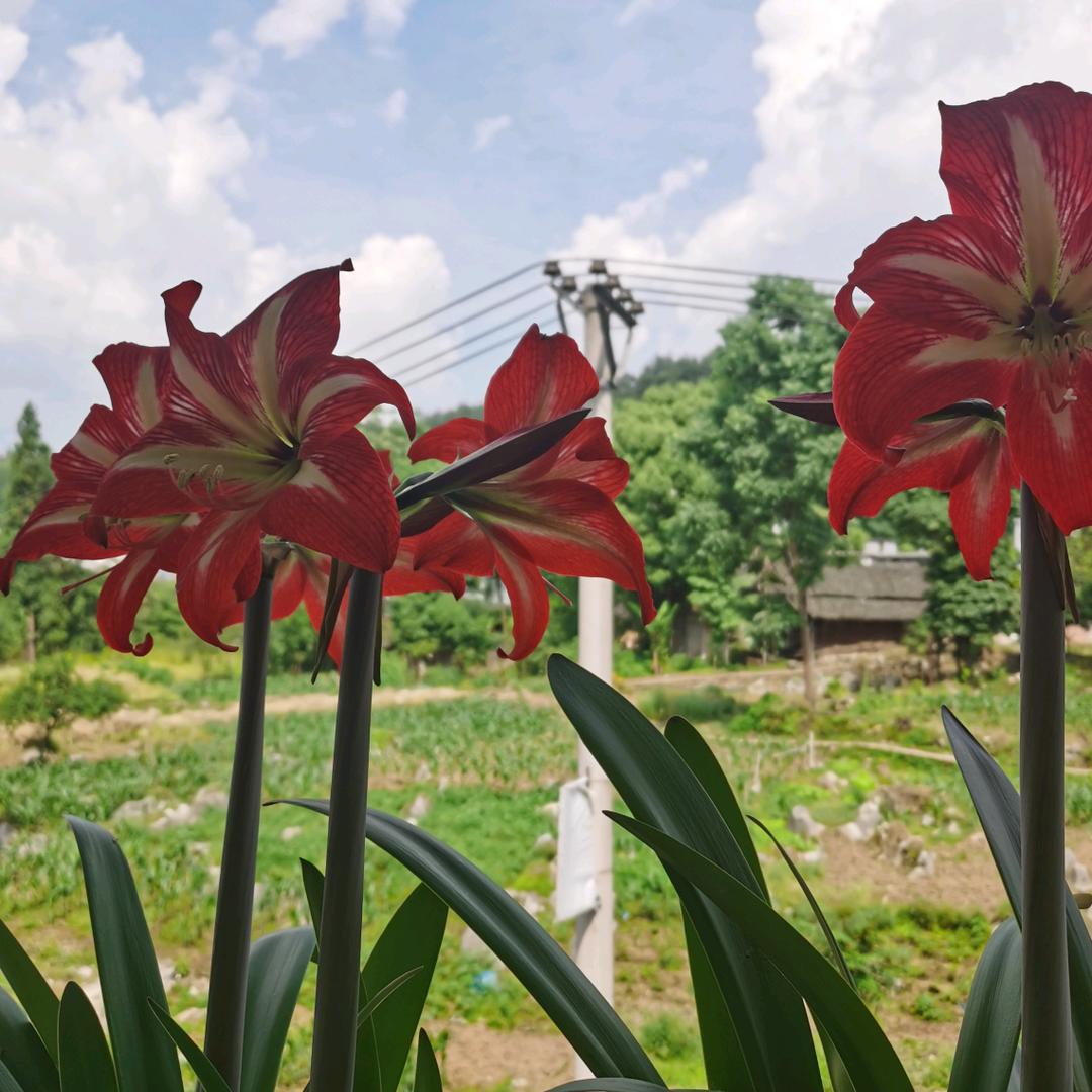 顺😁风🌹顺🌺水💐顺🌸财🌷神