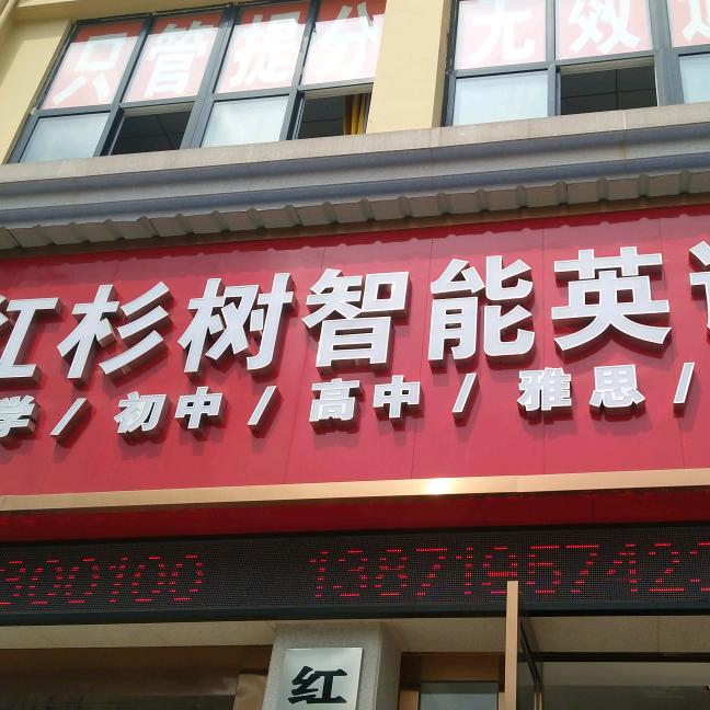 蕲春红杉树英语规划师