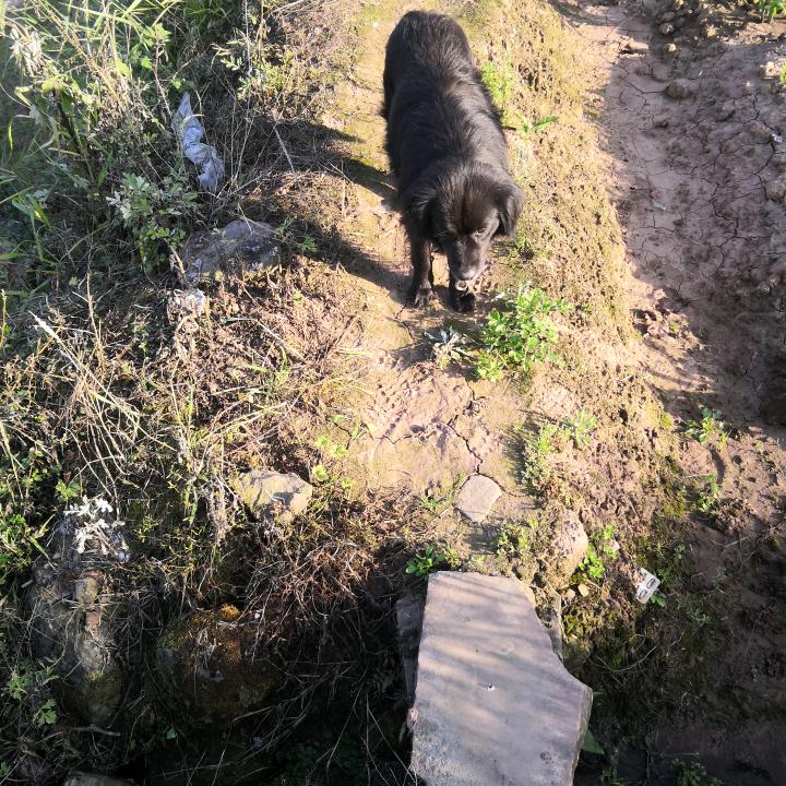 清明