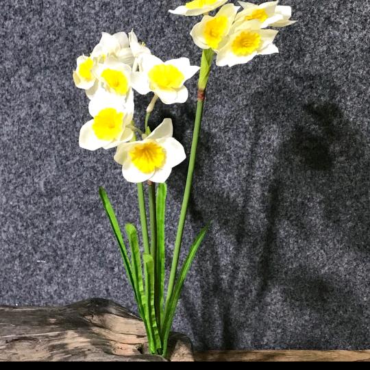 华俊花卉小时达