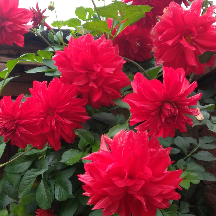 幸福快乐🙋‍♂️🙋‍♂️