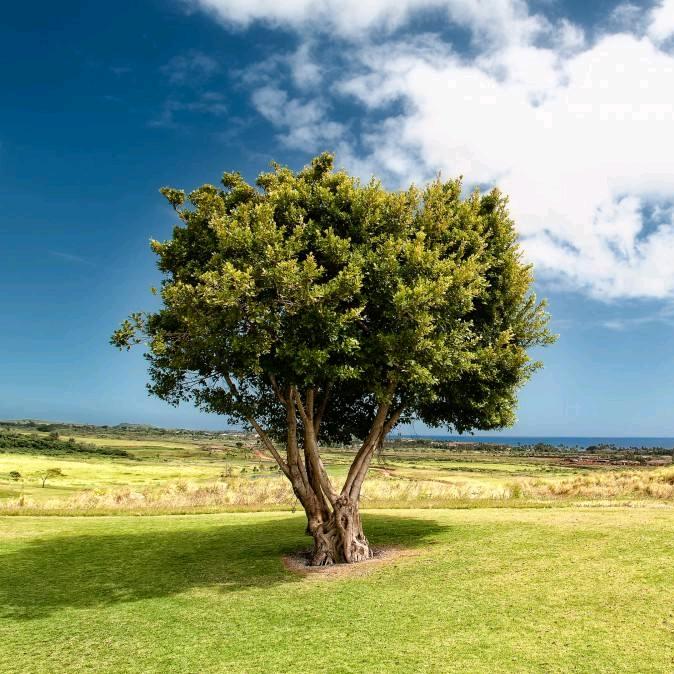 🦋꧔ꦿ᭄伟💞꧔ꦿ᭄💞