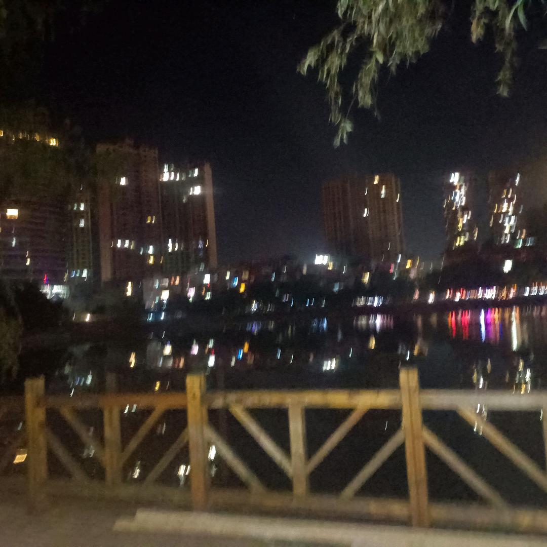 忧郁的 玫瑰