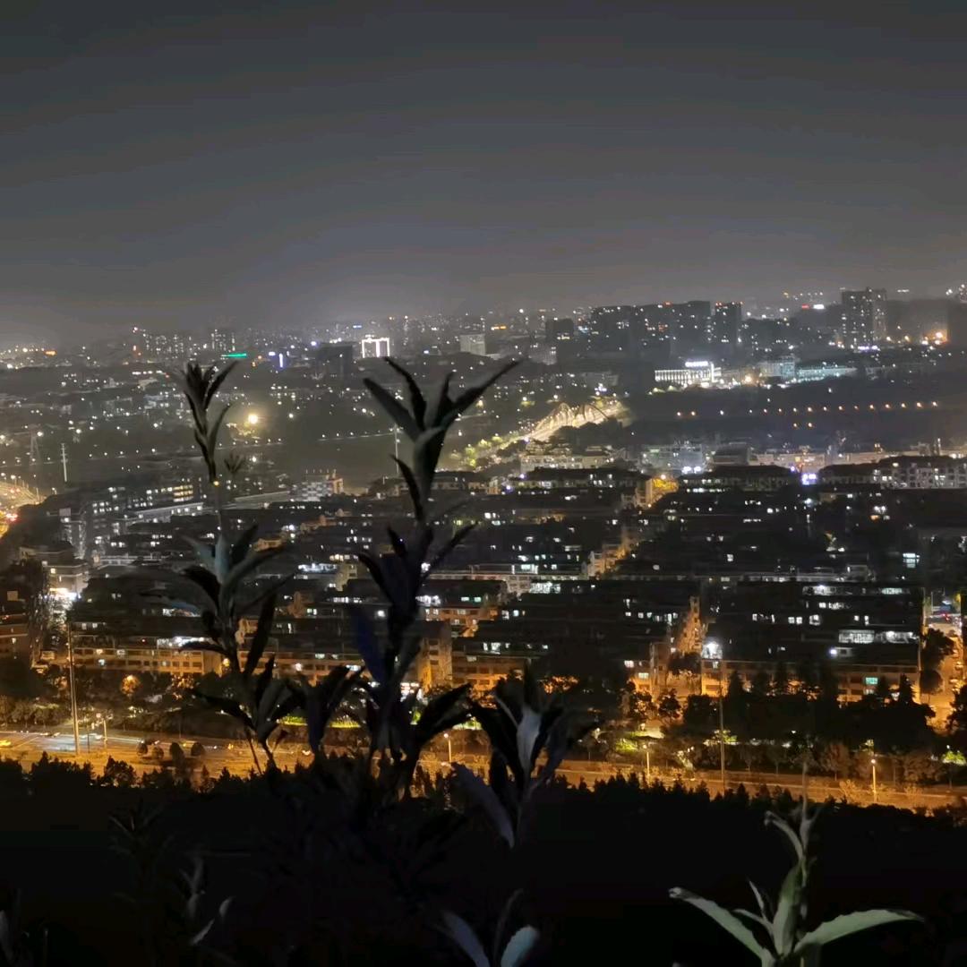 石（⊙ω⊙）417