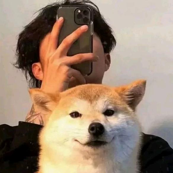哈哈虾头像
