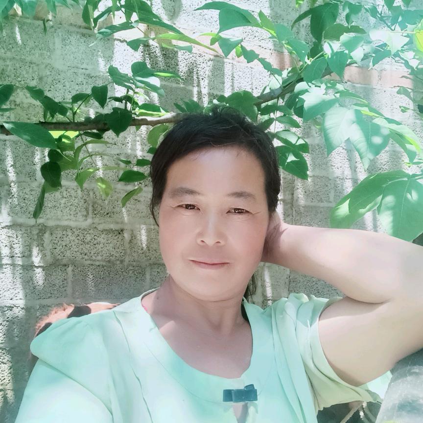 云南小杨妹