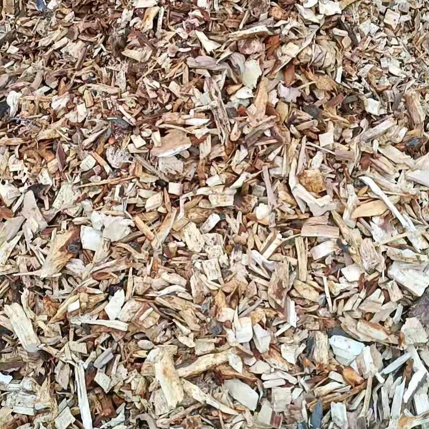 专业清理各种树木，回收各种木材木片