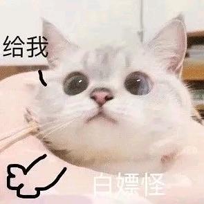 阿燕和糕糕的日常
