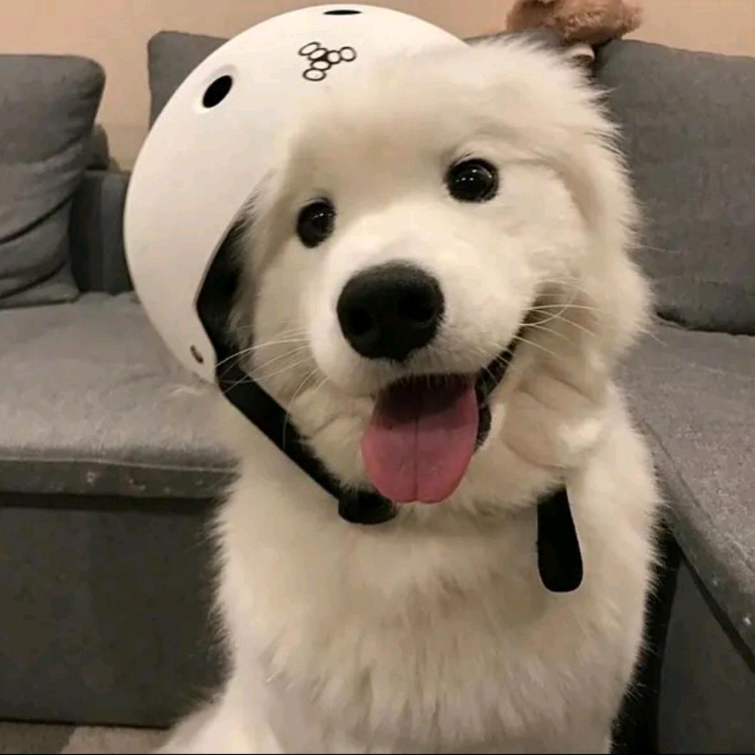 哈哈哈_