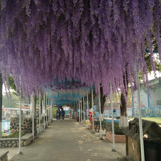 花千骨