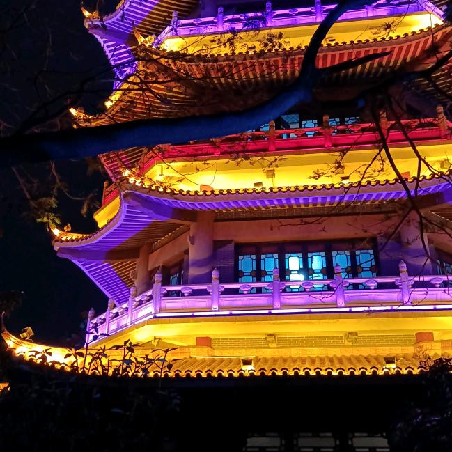 别跟我比懒，我懒得跟你比！