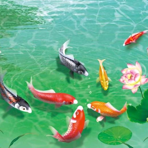 林哥的旅行（私人订制旅行）