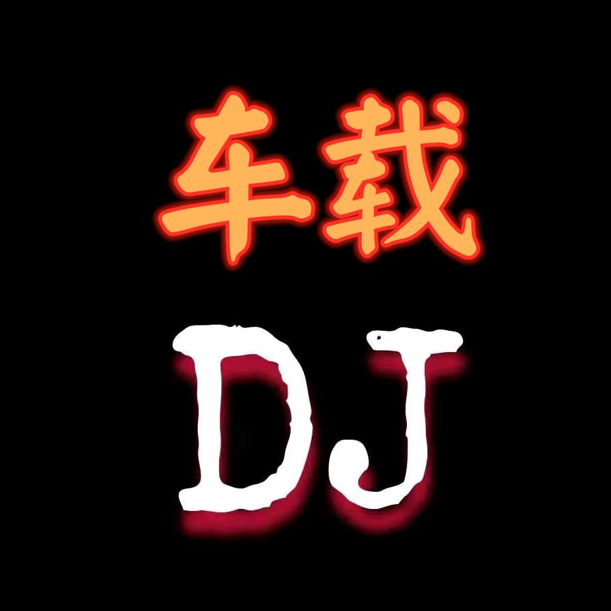 优质车载DJ优盘