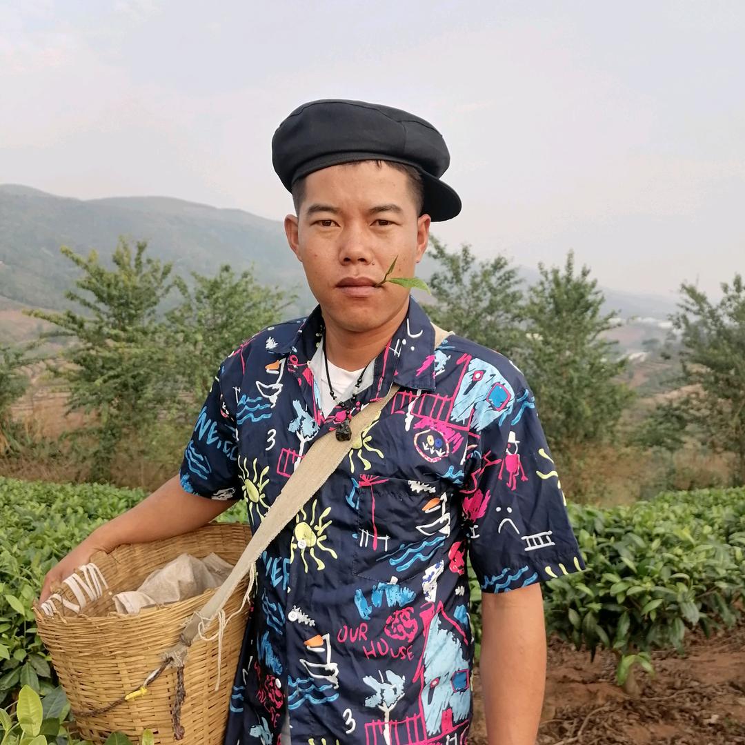 小罗三