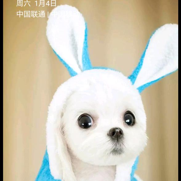 苦尽甘来