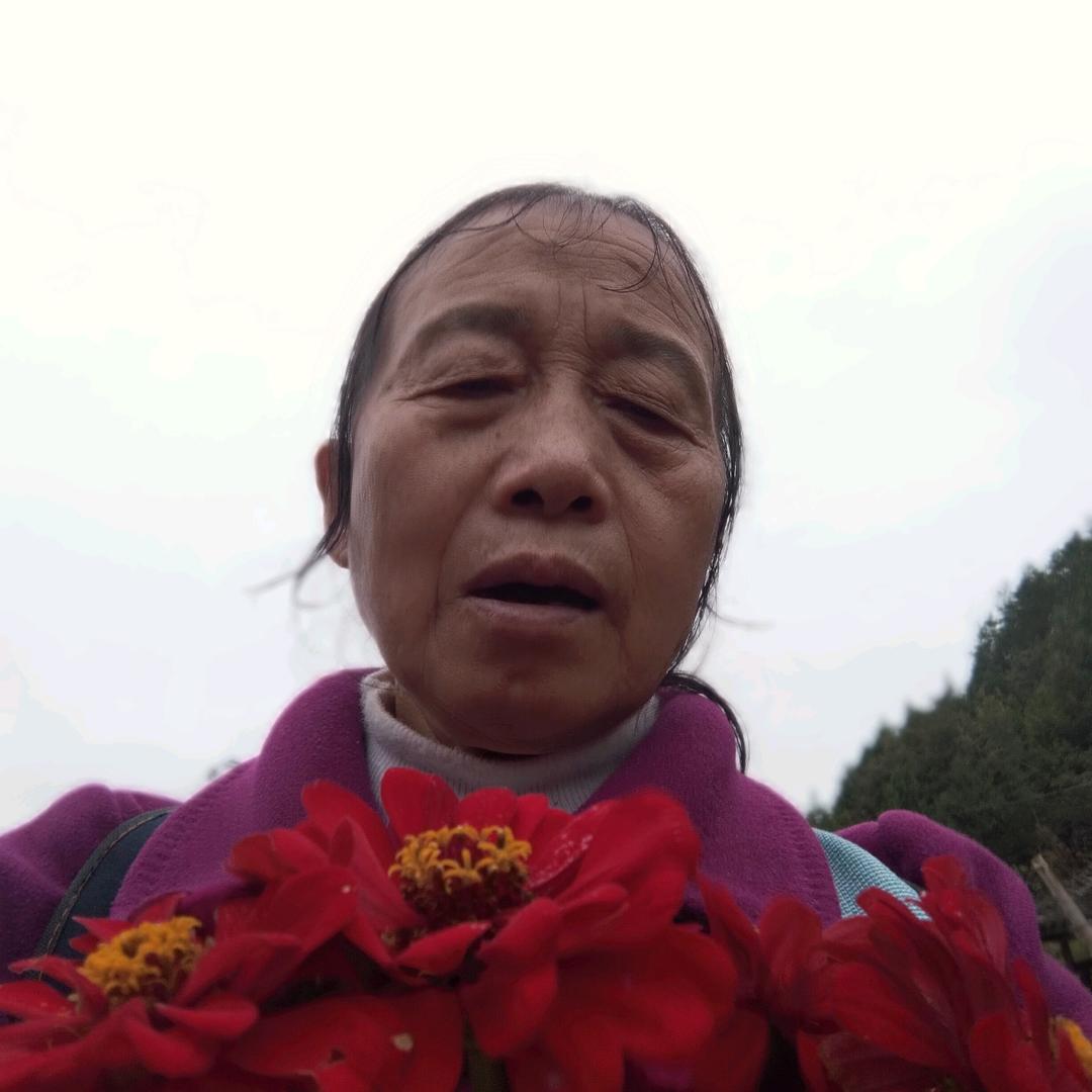 建秀
