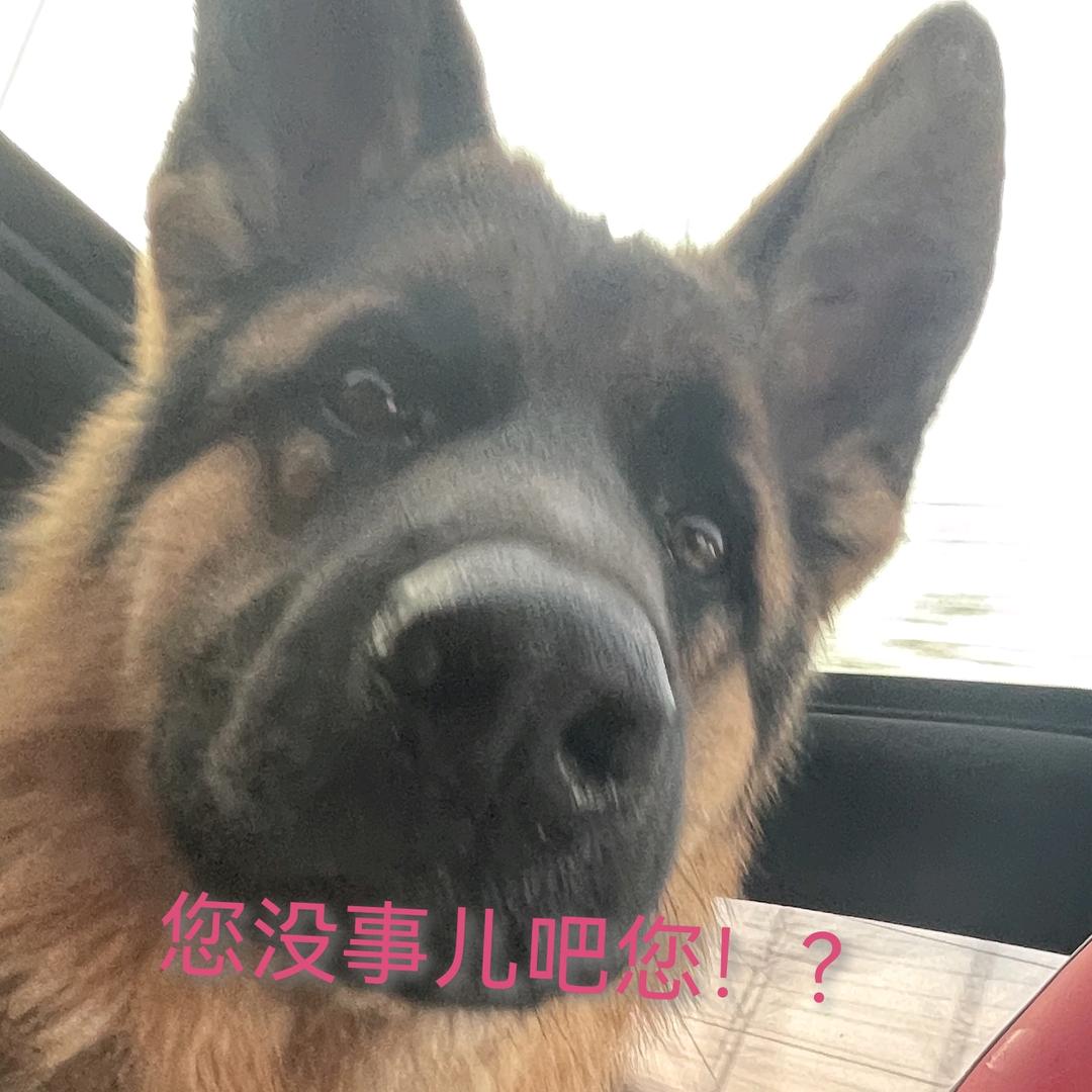 方工
