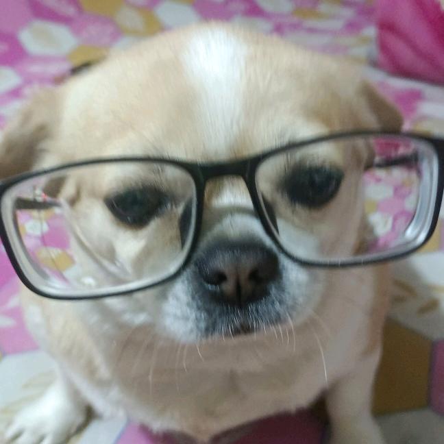 滴溜圆