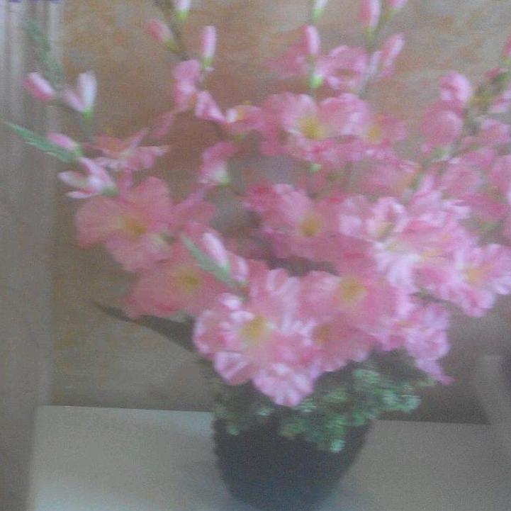 好心情276272846