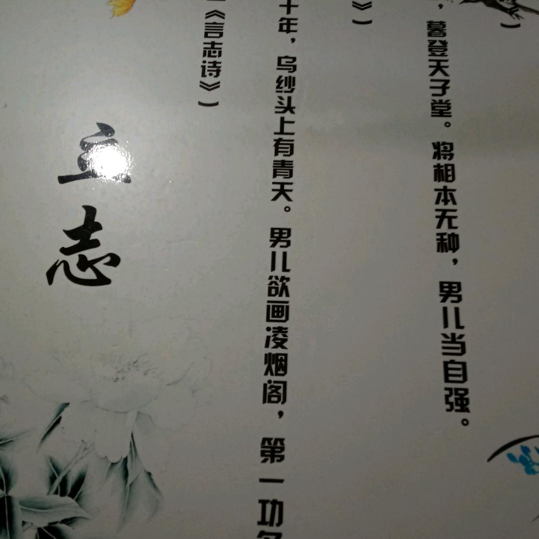 胡丽丽