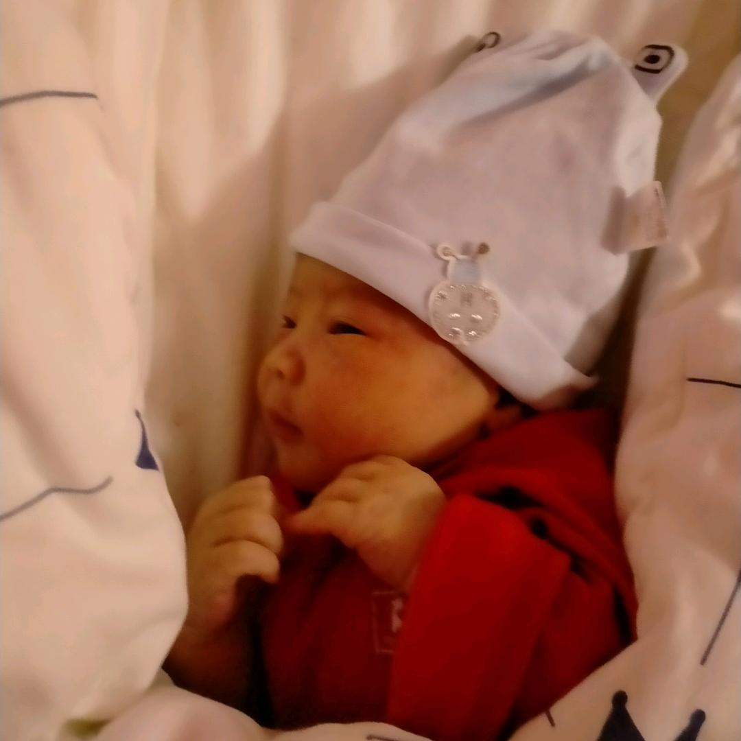 王小团子