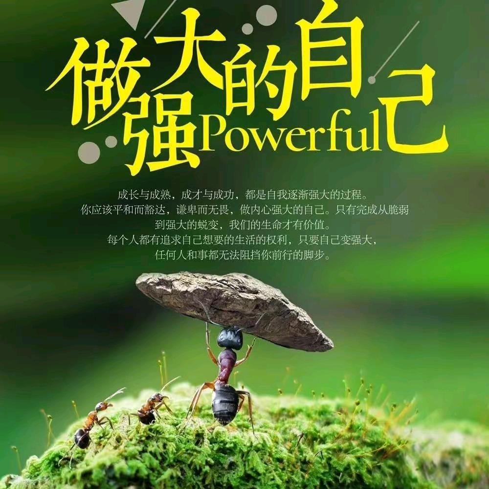 诚信交友六妹，沉默是金👫