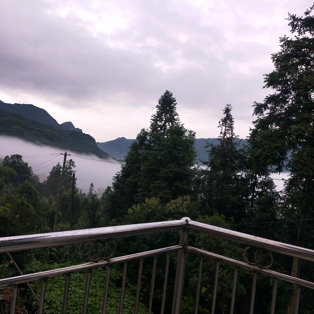 🥀♡是梦🕊终会醒･ω･♡🌴