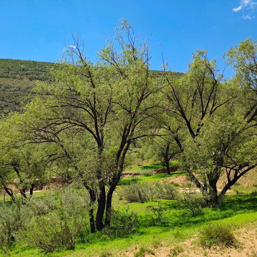 当你的眼睛眯着笑