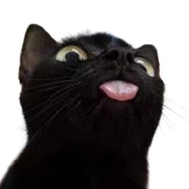 你拉大电，我拉你