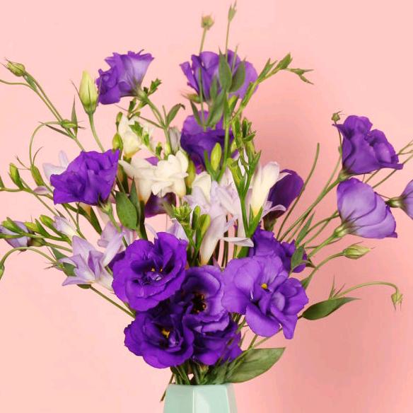 桂子花