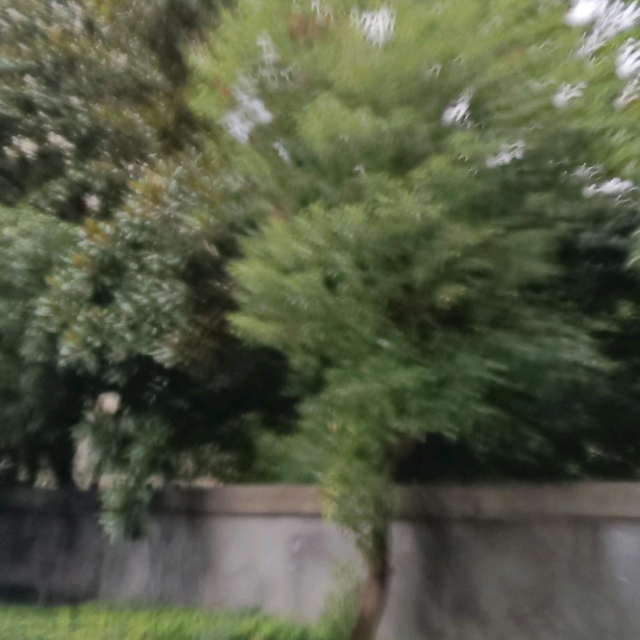 安全快乐健身及实用精选好物