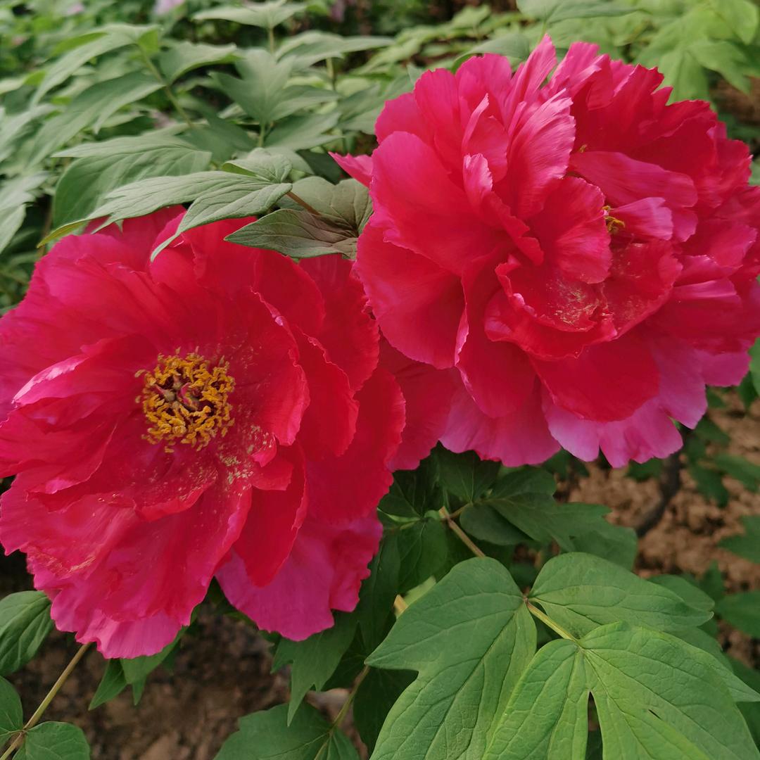 郝姐💐
