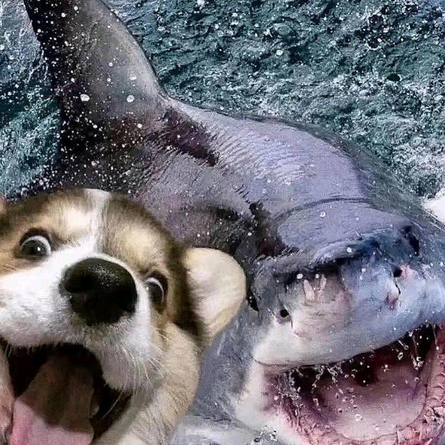 LLLLLLLL