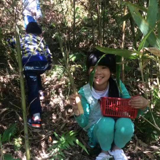 @至尊宝