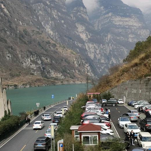 lfp铁骑饲料搬运工