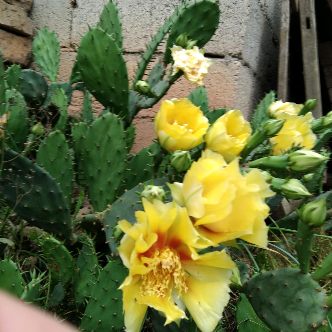 开开心心，快快乐乐