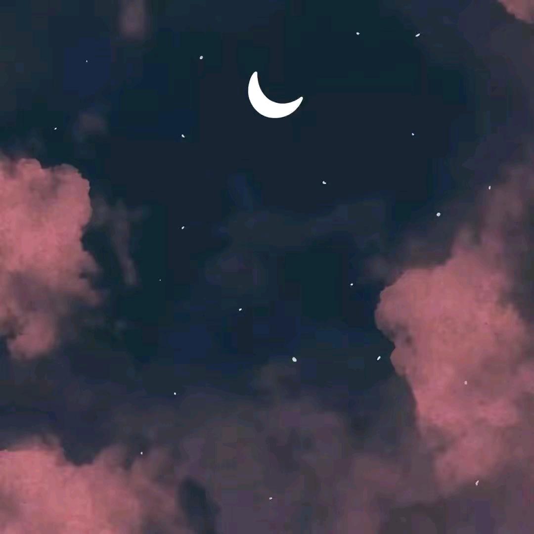 辞雨