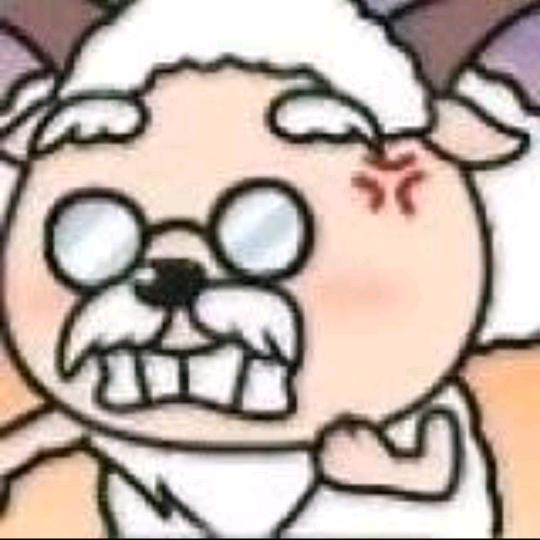 月半崽