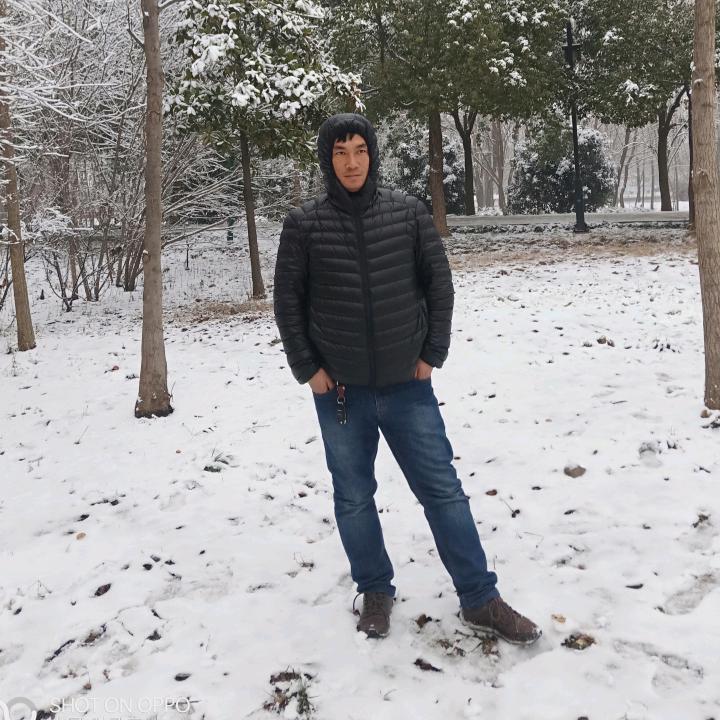 借风吻你