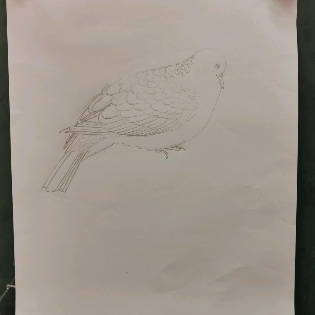 ℒℴѵℯ·P·o·s·i·t·i·v·e