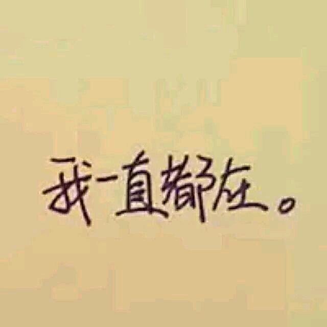 Brics_张
