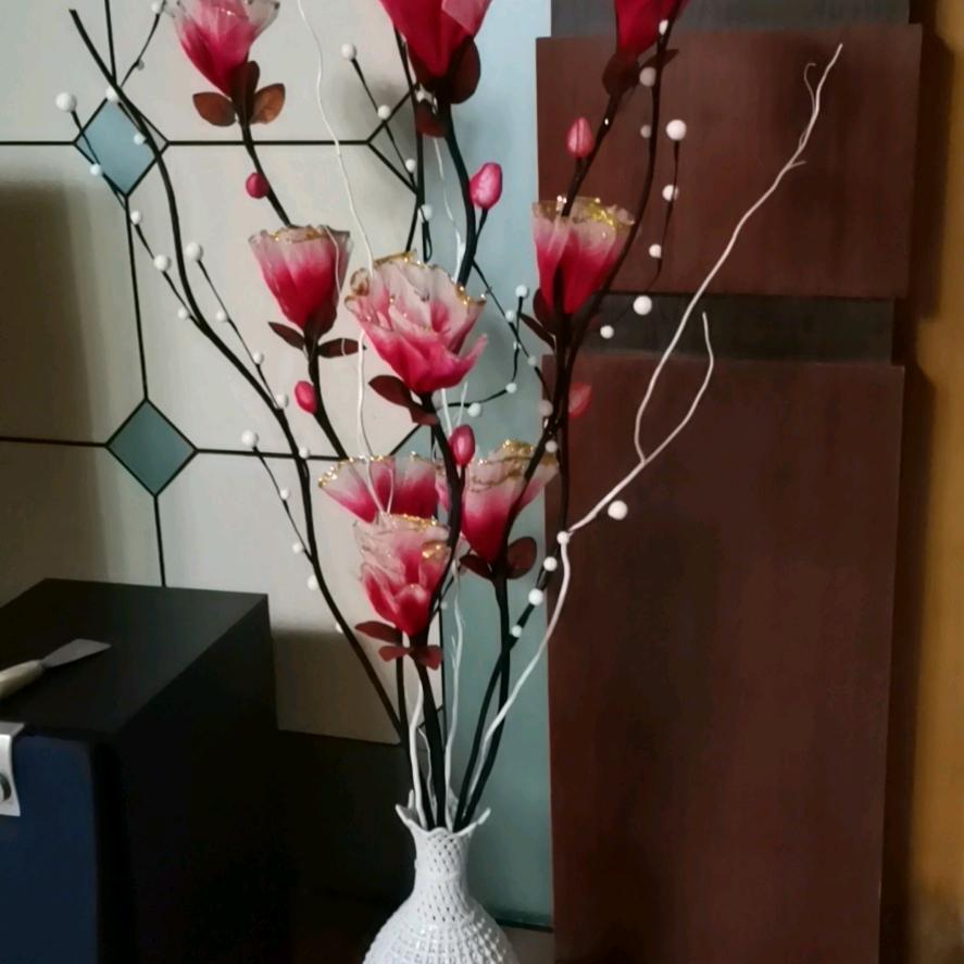 龙儿