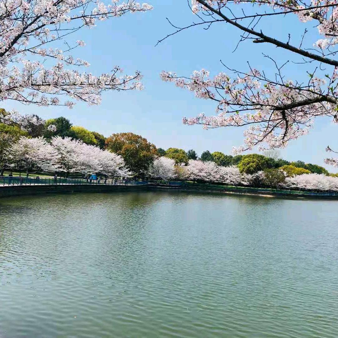 浪迹天涯