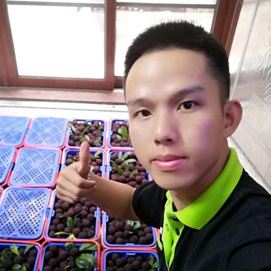 金灶果然多水果基地